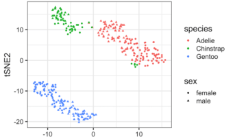 tSNE Plot