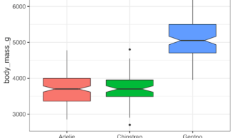 Notched Boxplot in ggplot2