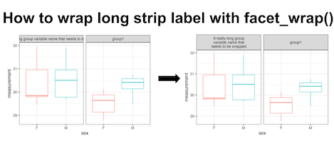 How to wrap long titles in a facet plot